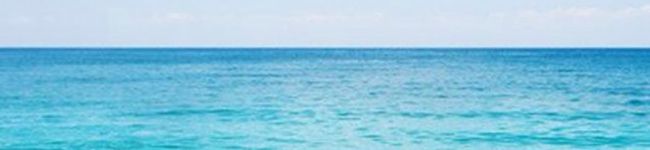 Pomo's header image