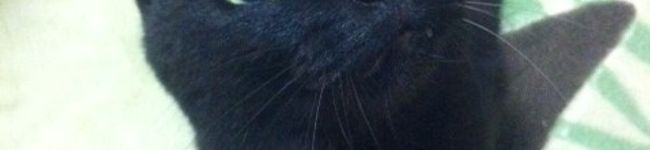 ｅｐｅｅ's header image