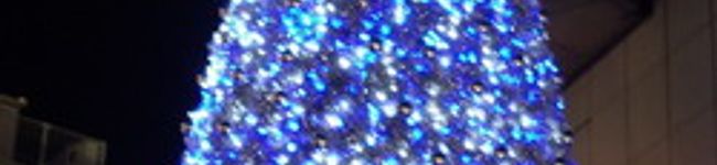 しーしー's header image