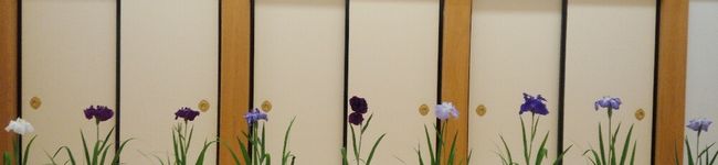 miiyaaan's header image