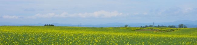 nachimo's header image