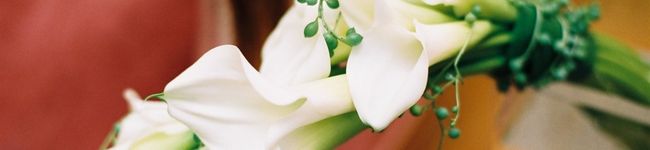 natoline's header image