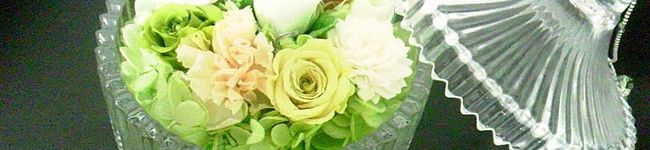 aki1026aa's header image