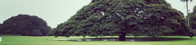 ♡MANA♡'s header image