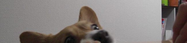 みつよし♪'s header image