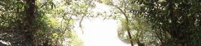 rakutyan's header image