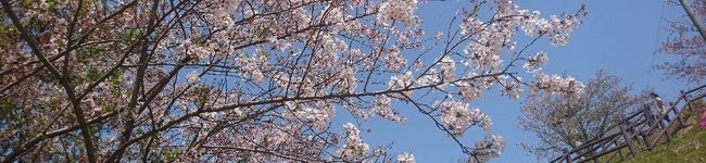 まありぽ's header image