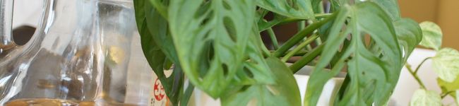 PONヨメ's header image