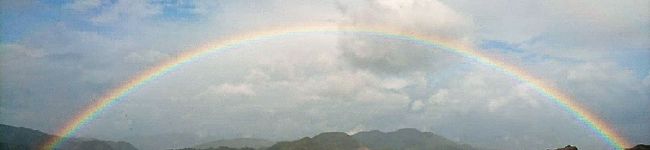 babybutterfly's header image