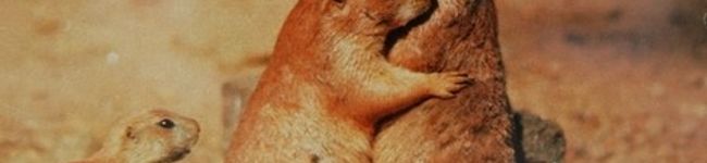 理恵蔵's header image
