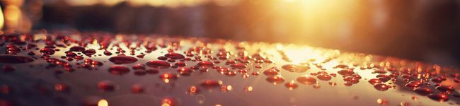 mohemian's header image
