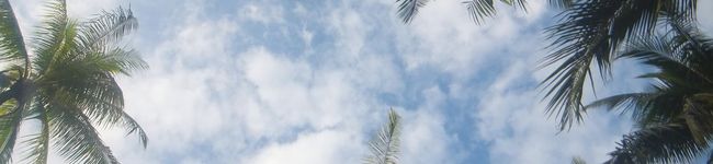 kyom36's header image