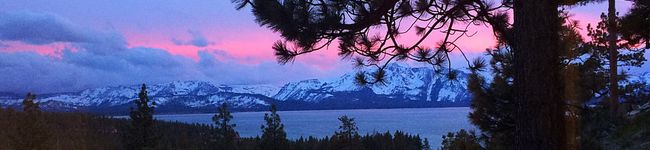 PinkPlumeria's header image