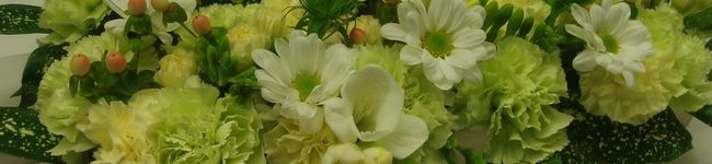takaco.n's header image