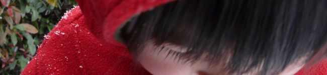 ひよちん's header image