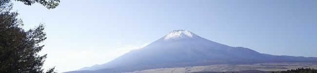 ぴろリン's header image