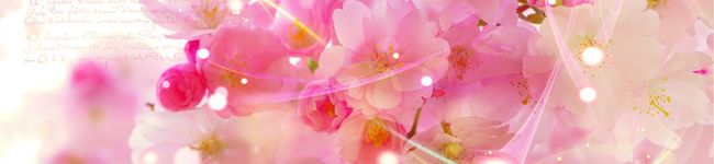 sakula♡'s header image