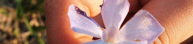 kiaoramisa's header image
