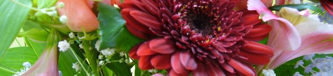 ***ぬぅ***'s header image