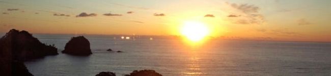 shinrimyu's header image