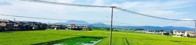 RISAchan28's header image