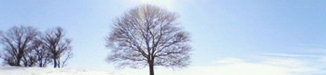 saromanian's header image