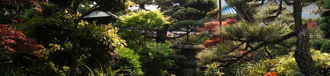 Yasuko.K's header image