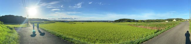 はぁぁすけ's header image