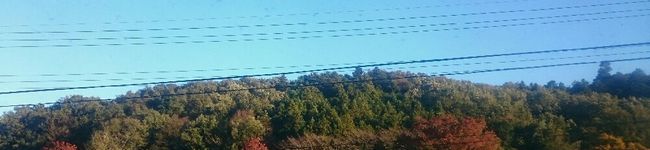 杏未里ママ's header image