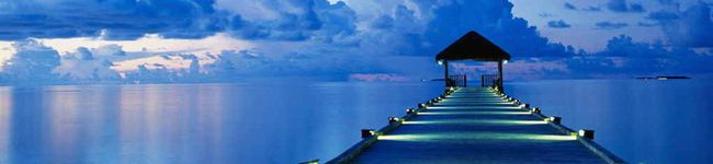 eochoko's header image