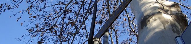 Kann-on's header image