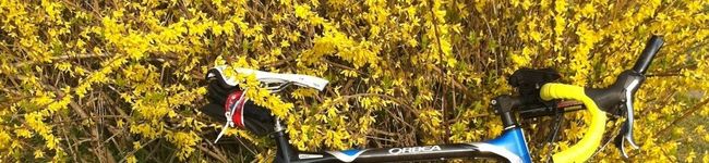 あーらーしさん's header image