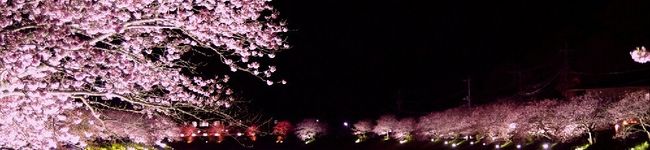 ＊ｙｕｅ＊'s header image