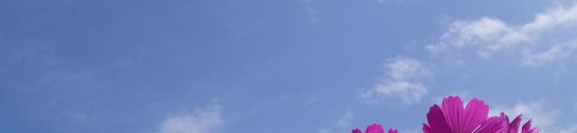 junkram's header image