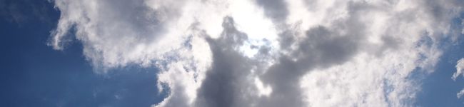 YUYUcafe's header image
