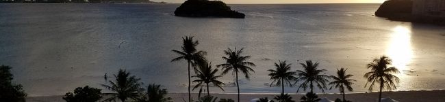 miya7's header image
