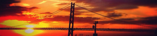 naochi715's header image