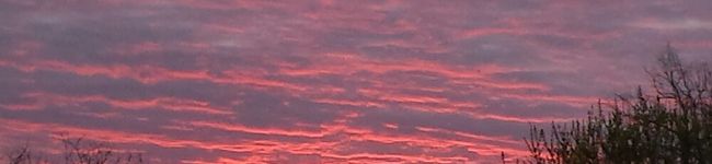 ディーちゃんラブ's header image