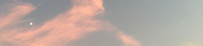 Mariranne's header image