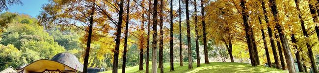 ⁂romoromo⁂'s header image