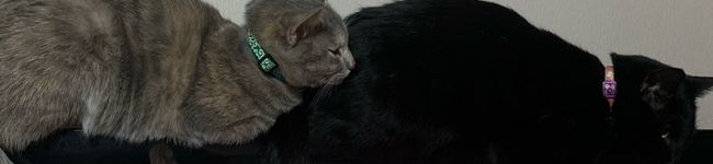 Super1975's header image