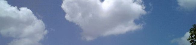 sakusakusakura's header image