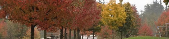 ermia's header image