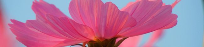 eta1's header image