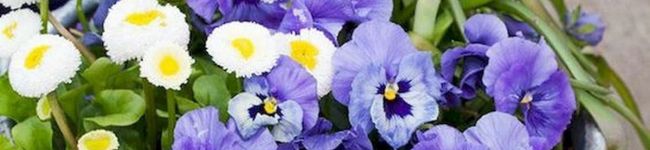  milkchoco's header image
