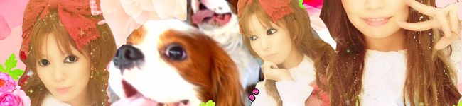 ゆかりシェフ's header image