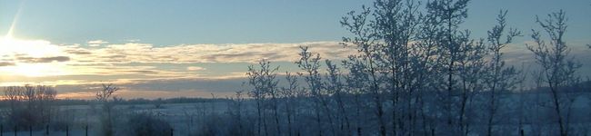 PAkuTOto's header image