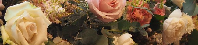 さくたろぽん's header image