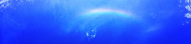 サチsachi♪'s header image