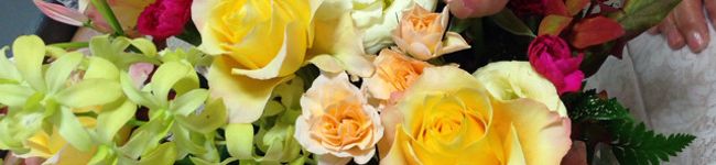 tmk2931's header image